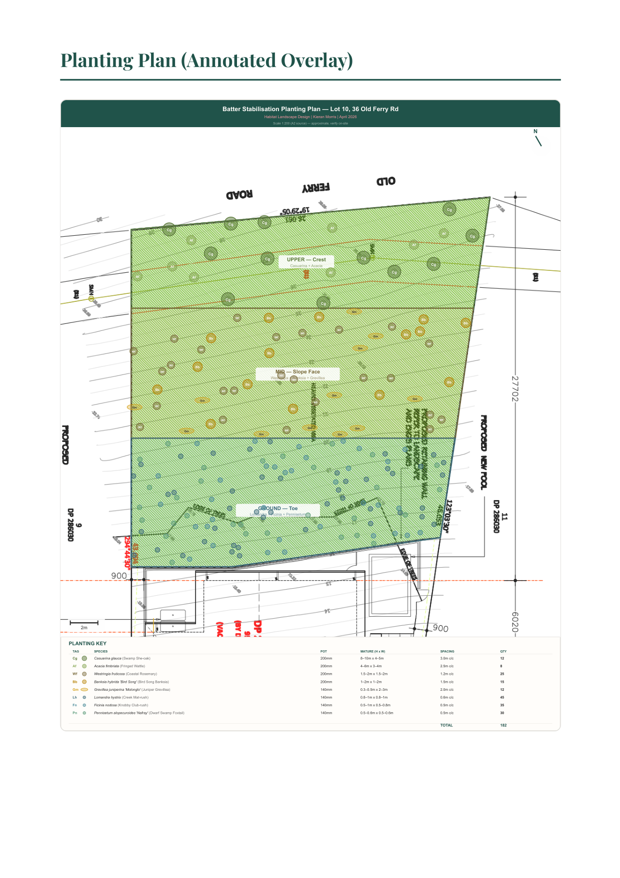 Annotated planting plan overlay for Banora Point property — zone boundaries, species callouts, and planting schedule